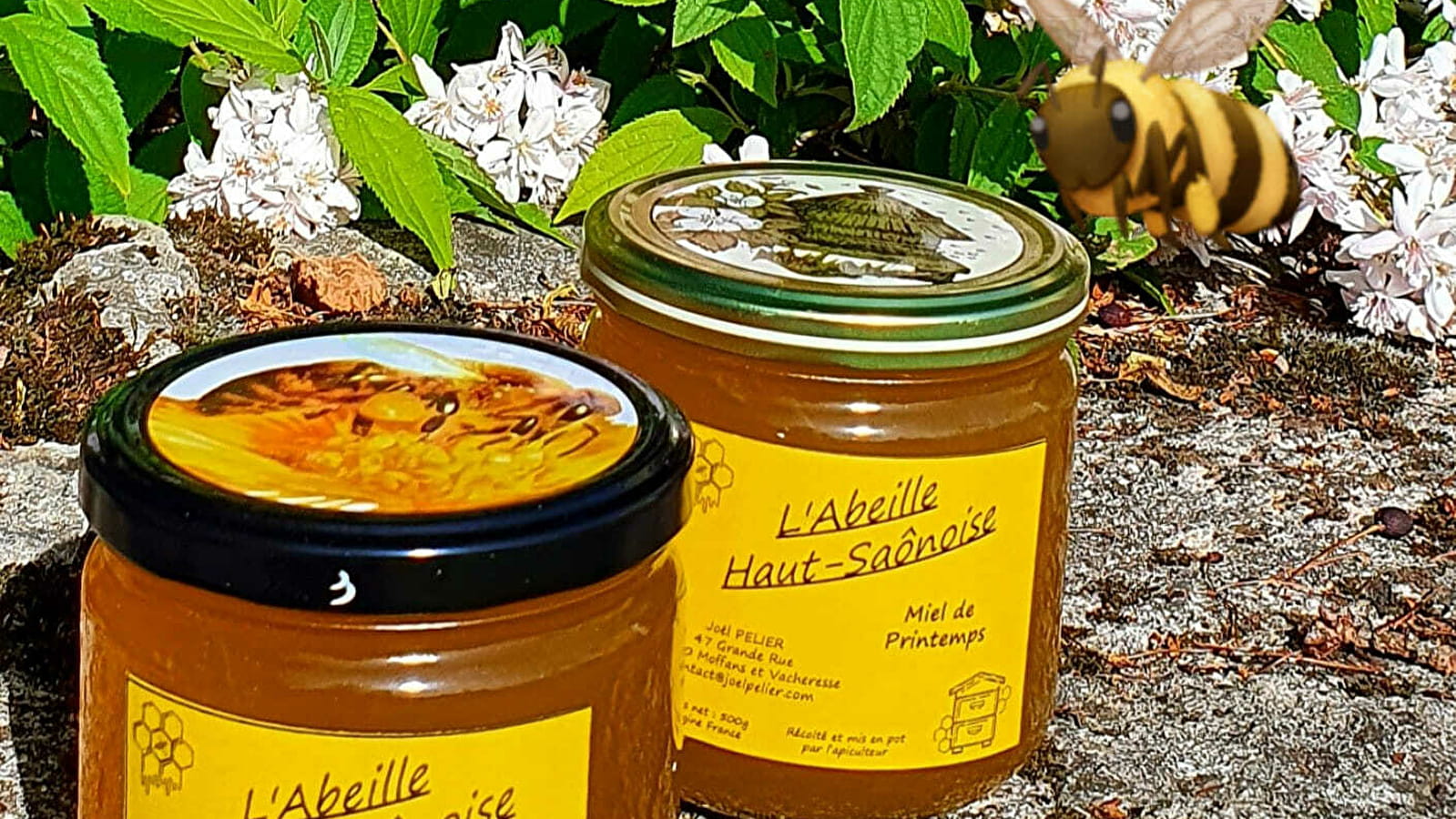 L'Abeille Haut-Saônoise