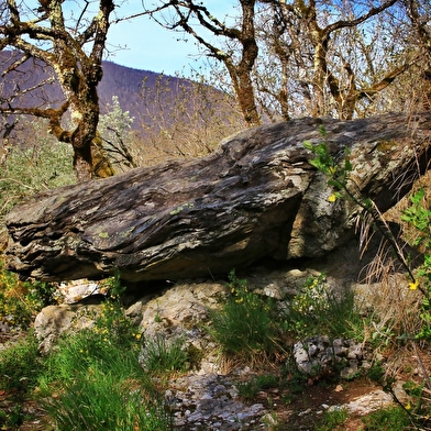 Randonnée de la Pierre grise