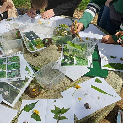 Animations Nature & Biodiversité