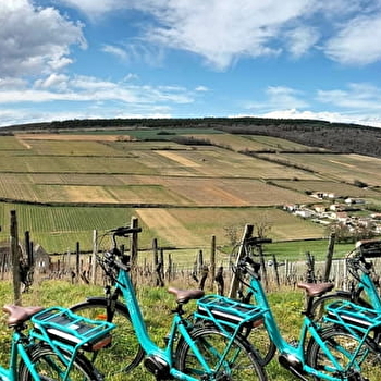 Station de location de vélos - Château de la Greffière - LA ROCHE-VINEUSE