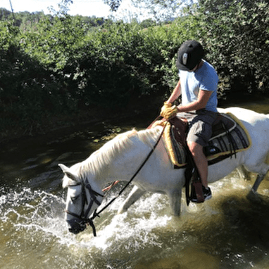 La Genette et la Salamandre