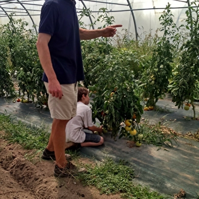 Potager du Maraîcher