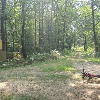Liaison VTT-VTC entre Bresse et Revermont - MONTREVEL-EN-BRESSE
