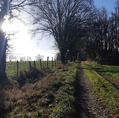 Sur les chemins de St Sulpice et St Didier d'Aussiat