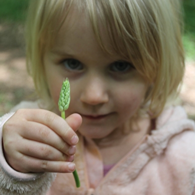 Sortie Découverte - Plantes sauvages comestibles et médicinales de la vallée de la Loue