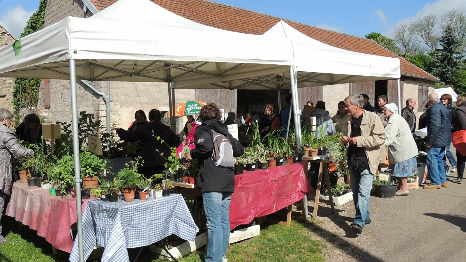 Troc aux plantes