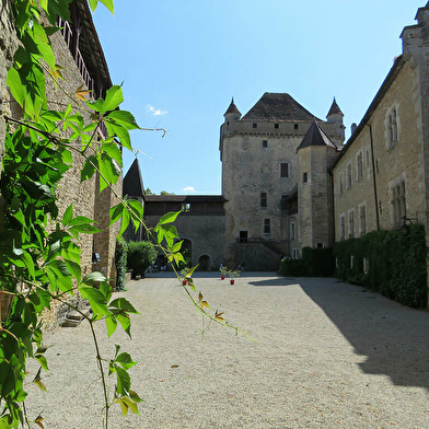 Château du Pin