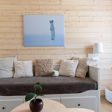 Notre Chalet - Appartement Scandinave