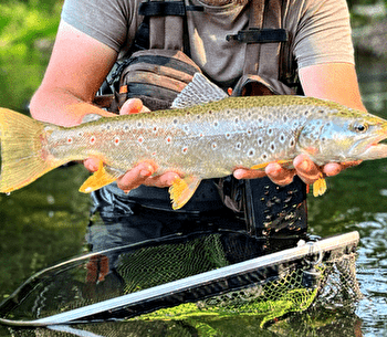 Initiation pêche à la mouche - GRISELLES