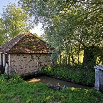Merveilles et nature - THIL-SUR-ARROUX