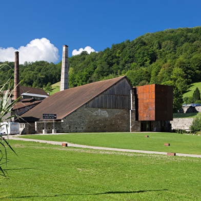 Salins les Bains et le Mont Poupet
