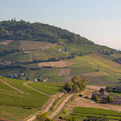 Circuit Brouilly
