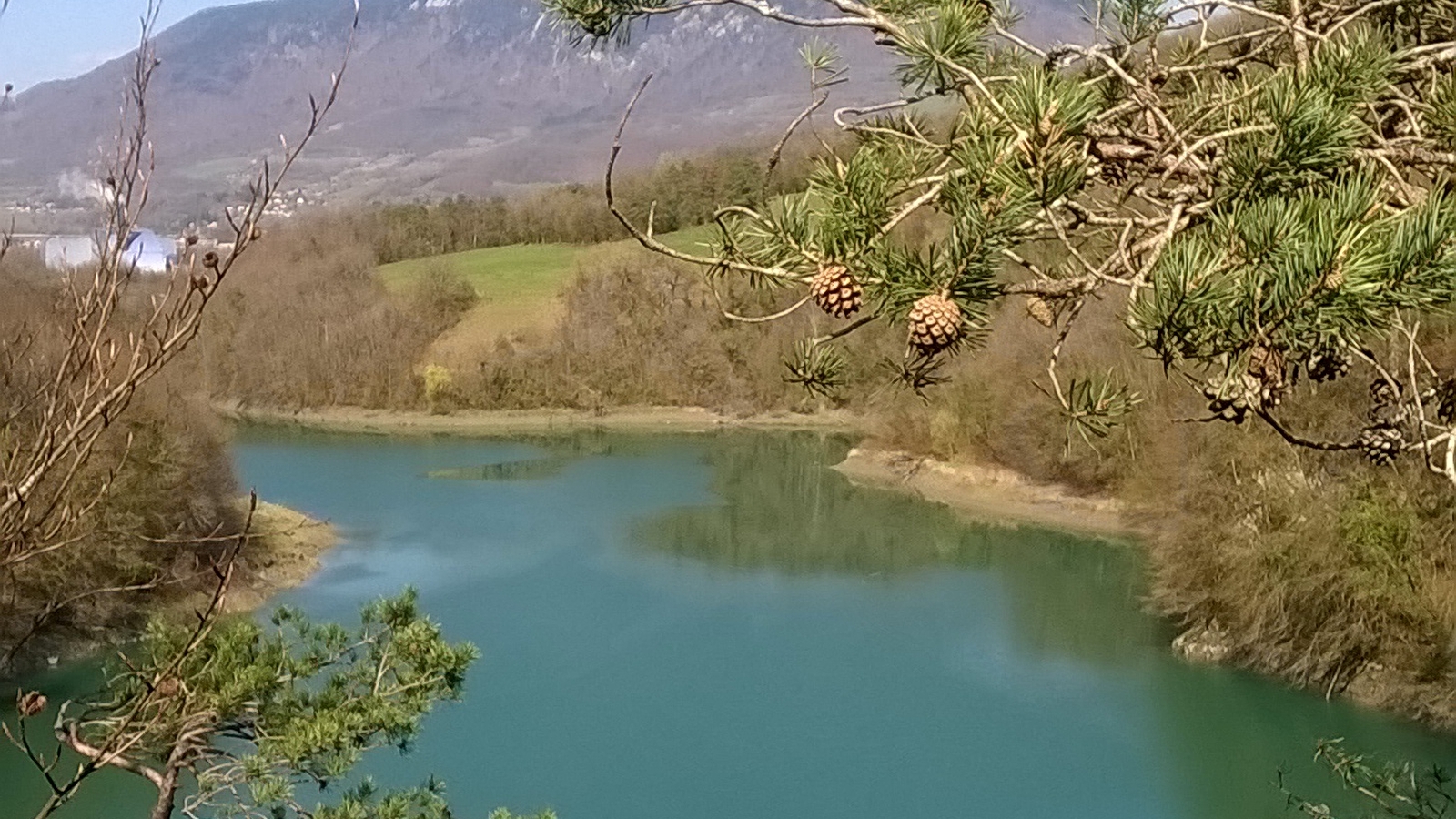 Les berges du Rhône