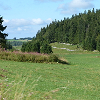 Les Roches - MOUTHE