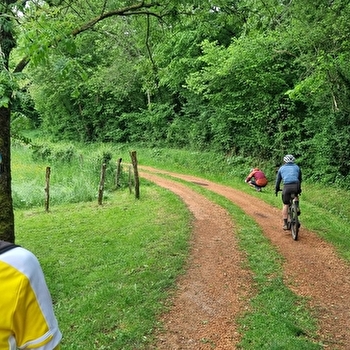 Circuit VTT-VTC n°21 (rouge) Cheminées Sarrasines & Etangs bressans - SAINT-TRIVIER-DE-COURTES