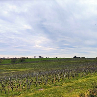 Circuit de randonnée : Circuit des coteaux à Livry