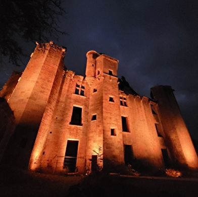 Visites guidées château de Rochefort