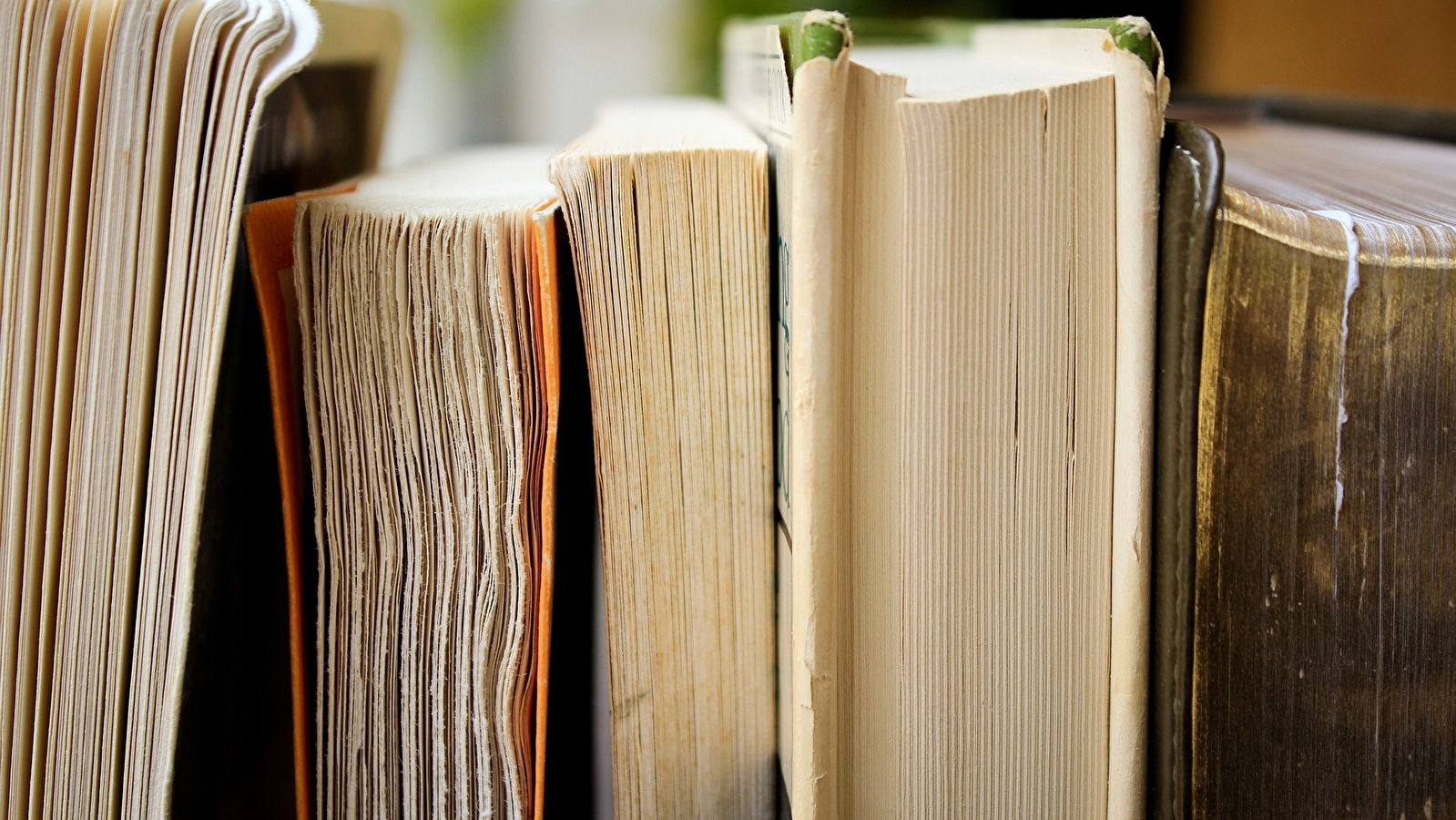 Bourse aux livres du Secours Populaire Français