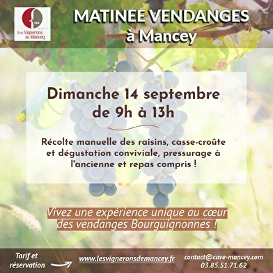 Vendanges touristiques
