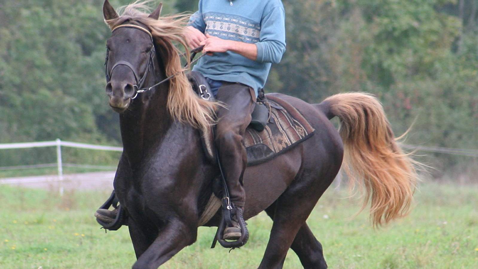 Ferme Equestre de Valbertier