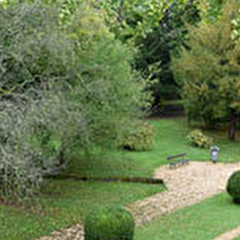 Parc du Muséum  - AUXERRE
