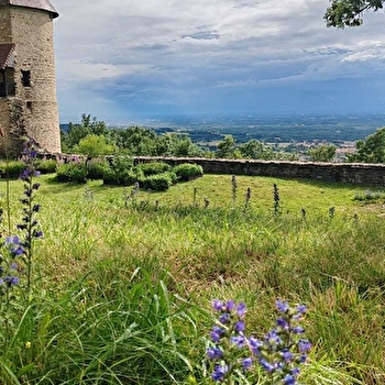 Visites guidées - portes ouvertes au Château de Chevreaux - CHEVREAUX