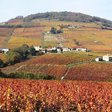 Circuit Brouilly