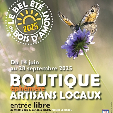 Ateliers 'Le bel été de Bois d'Amont'