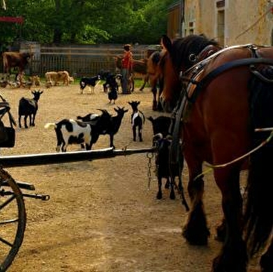 La Ferme du Moulin de Vanneau