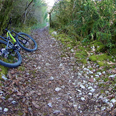 Circuit VTT n°4 (rouge) - Meillonnas-Treffort-Cuisiat