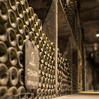 Beaune Underground : Le plus grand réseau de caves - BEAUNE