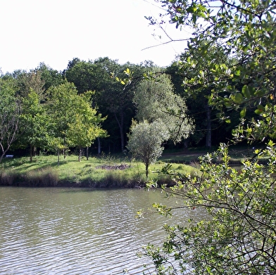 Baignade à la base de loisirs de l'Etang de la Chênaie