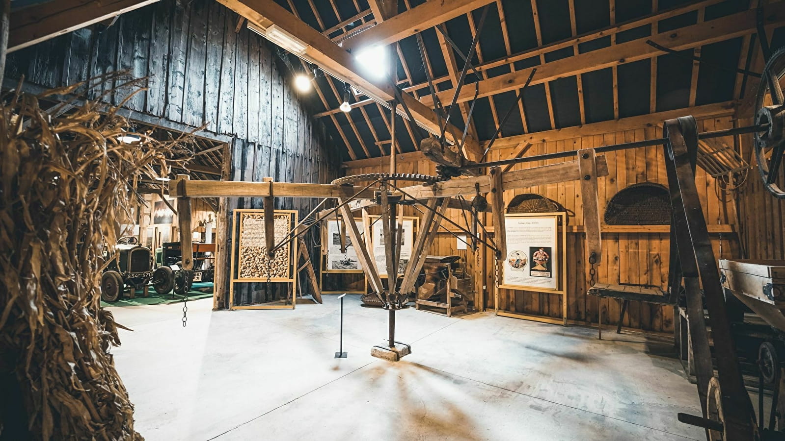 En famille au musée : les abeilles