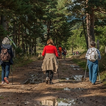 Randonnée solidaire 'La Sein Péroise' - SAINT-PERE