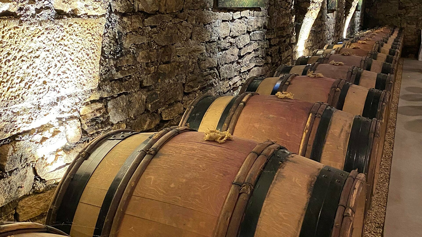 Dégustation musicale aux Caves Saint-Nicolas de la Maison Albert Bichot à Beaune