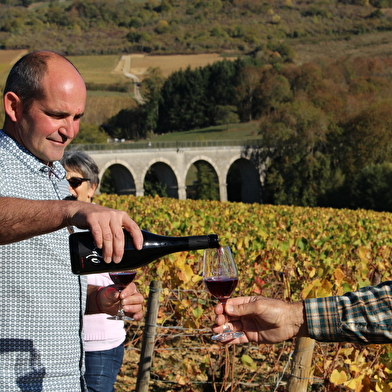 OeNolay tour - Cœur des Hautes Côtes de Beaune