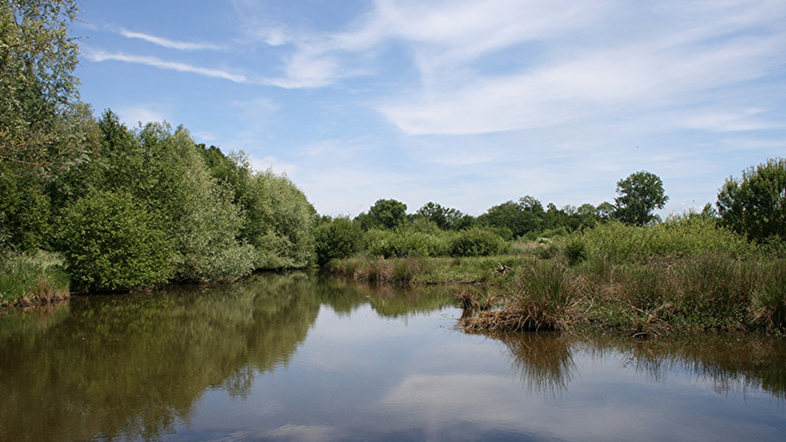 Le Marais de Montceaux-L'Etoile