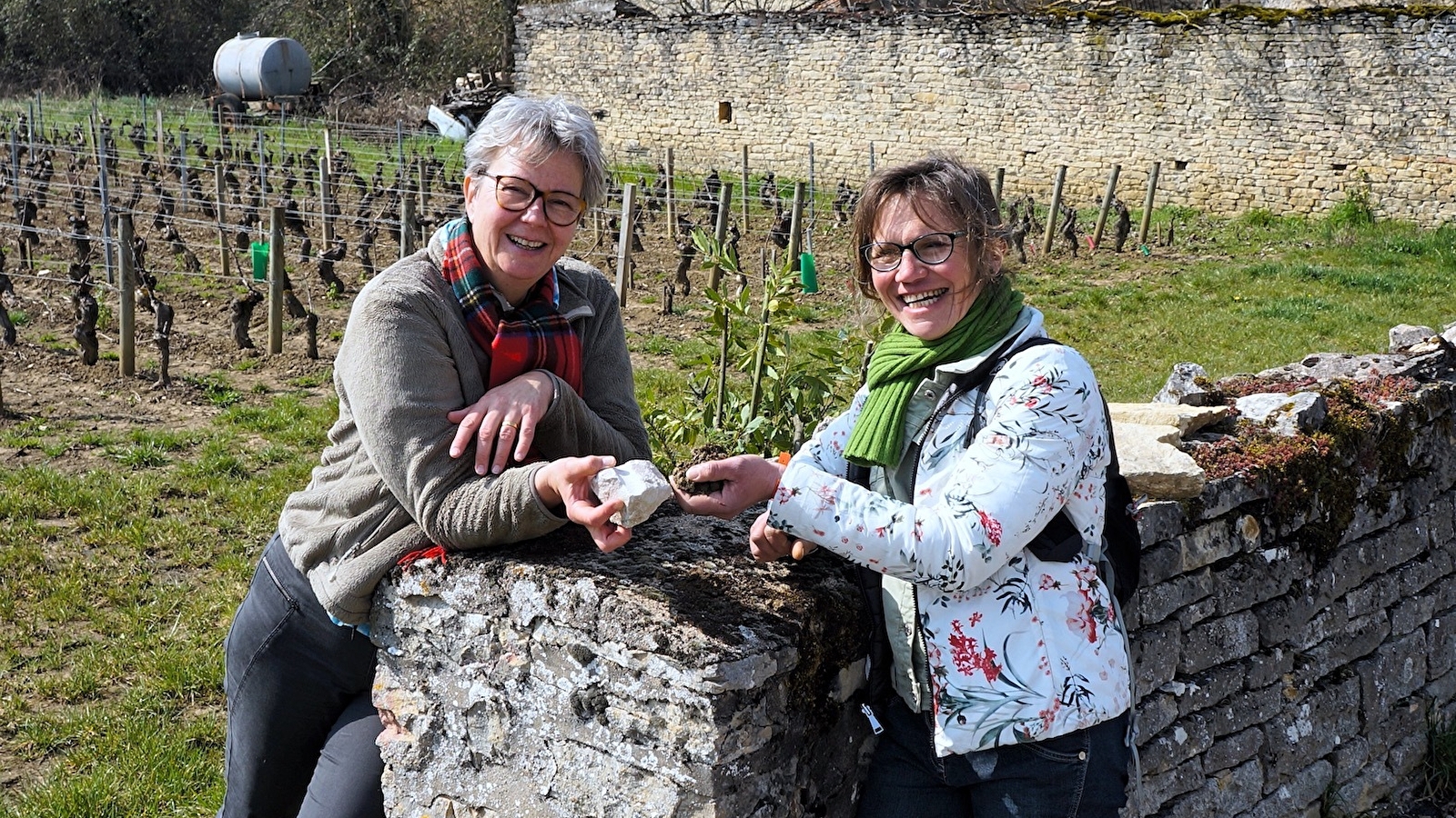 La clé des sols : à la recherche du pinot perdu