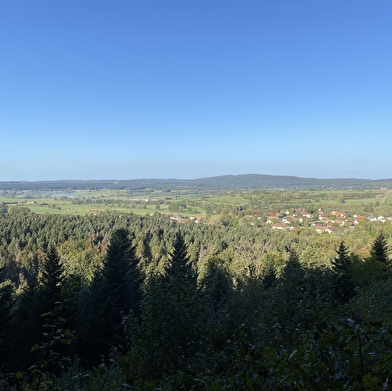 La Route des Sapins