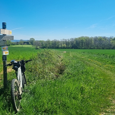 Liaison VTT-VTC (L2) - Lacs de La Plaine Tonique - Plan d'eau de Mépillat