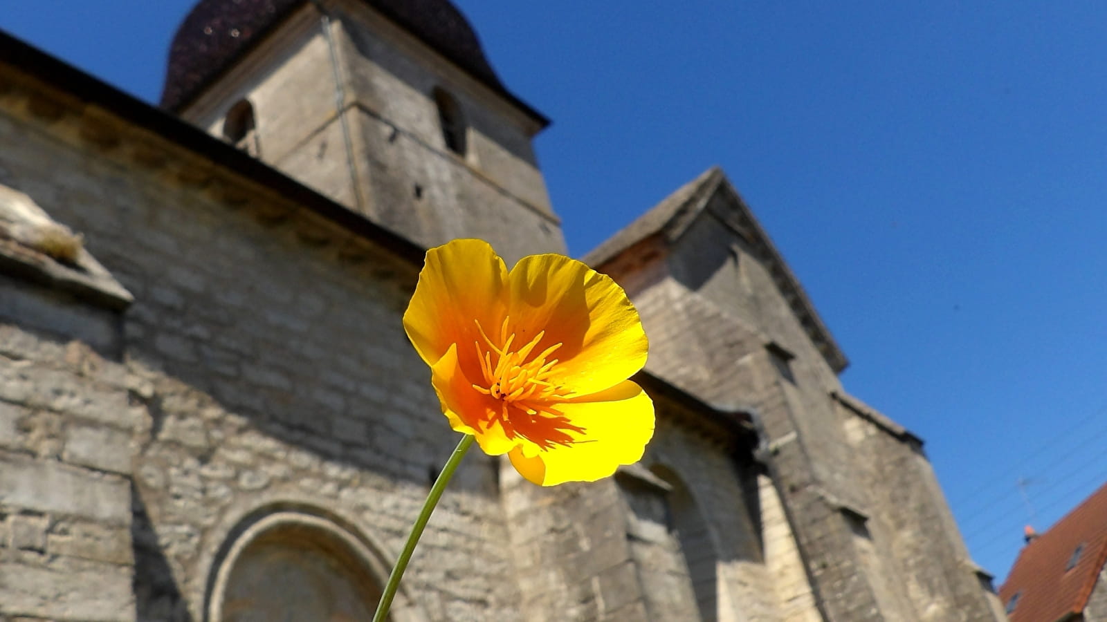 Journées du Patrimoine visite commentée du village
