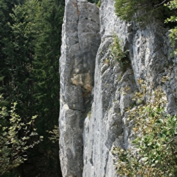 Arcadienne - VTT - n°94 - Les Mouilles
