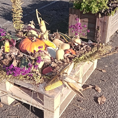 Fête de la citrouille