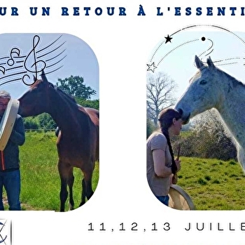 Stage Retour à l'Essentiel - MESSEY-SUR-GROSNE