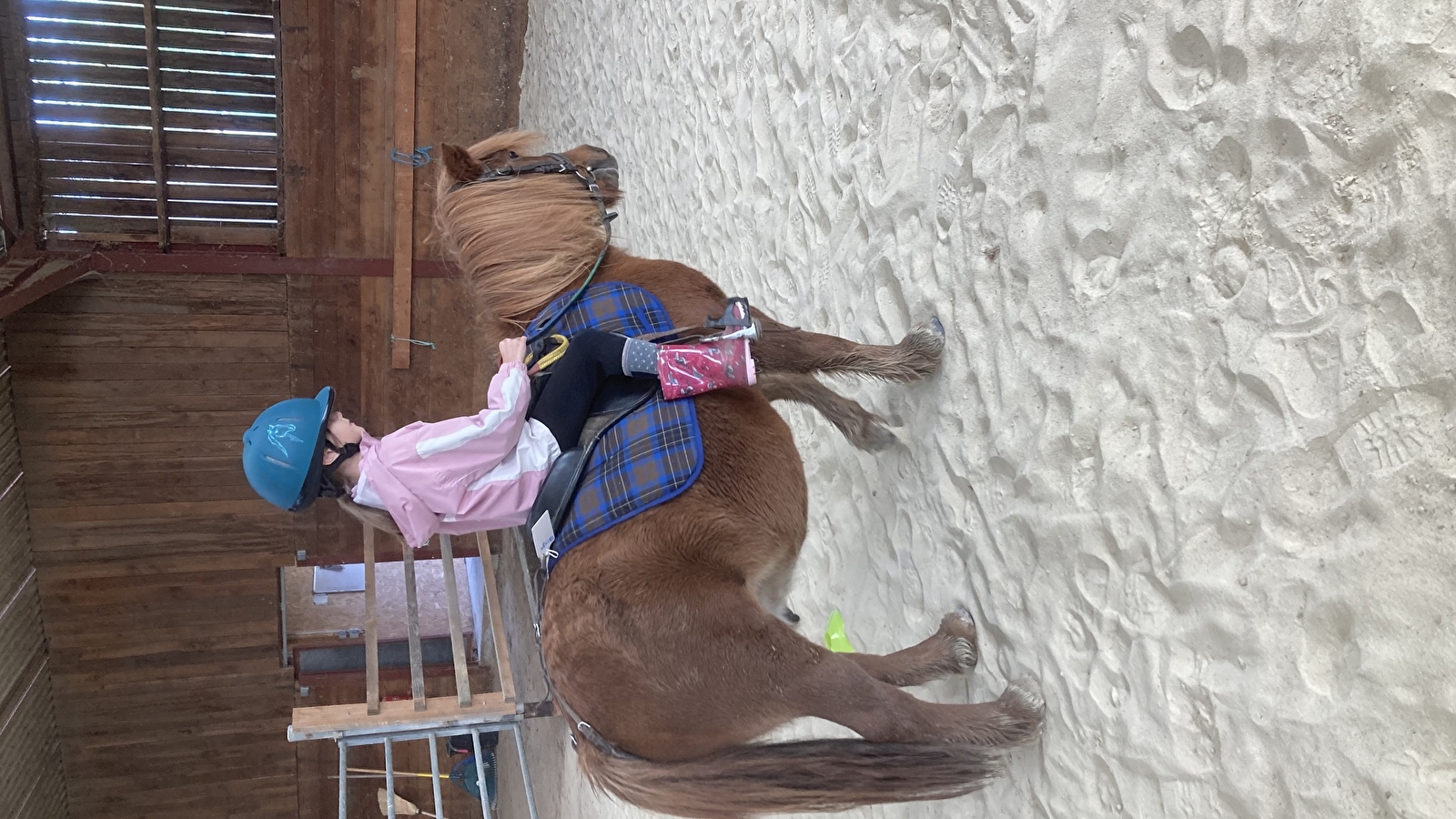 Mon mercredi à poney
