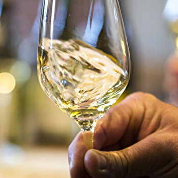 ECOLE DES VINS DE BOURGOGNE, THE ULTIMATE BOURGOGNE WINE TASTING : 33 GRANDS CRUS - BEAUNE