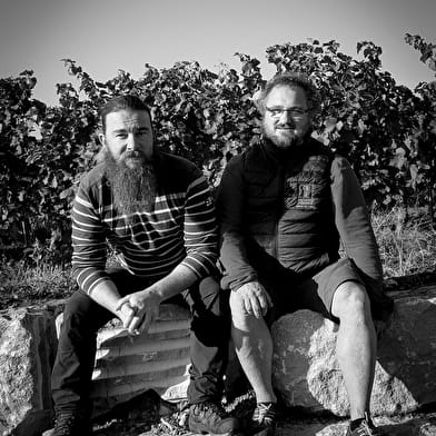 Domaine la Renarde