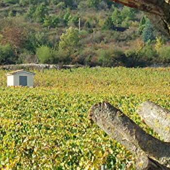 Domaine Ninot - RULLY
