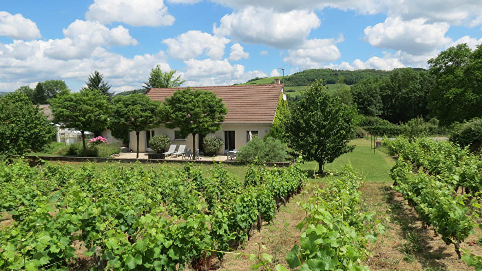 Meublé 'Les Vignes de Paris'