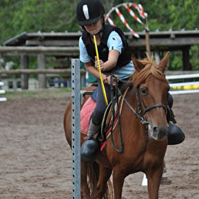 Poney Club le Picotin